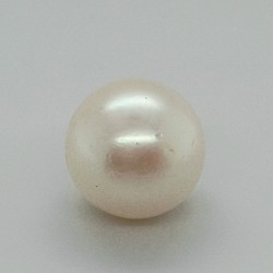 Pearl  (Moti) 8.91 Ct Best Quality